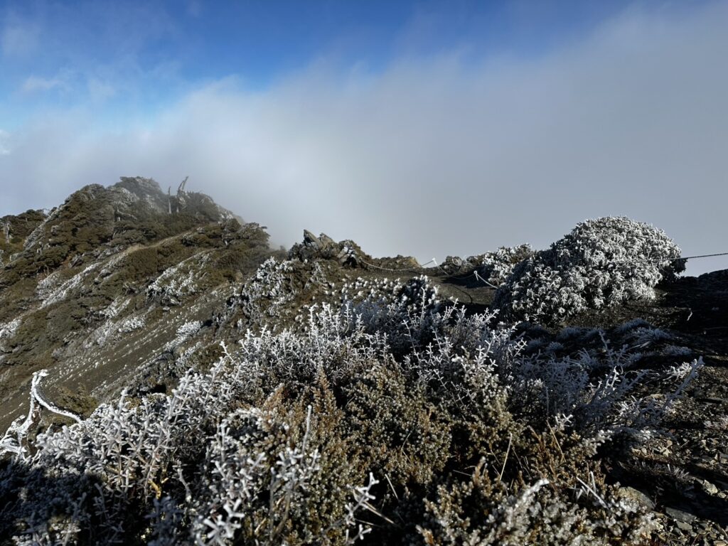 合歡山追雪、跨年看日出 做好行前準備，回憶滿載、乘興而歸 @去旅行新聞網