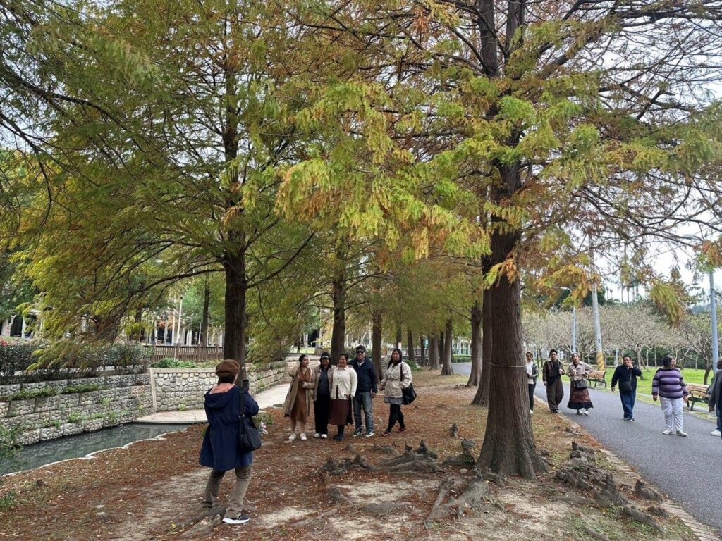 擁抱冬日寂美 來士林官邸追落羽松迎新年 @去旅行新聞網