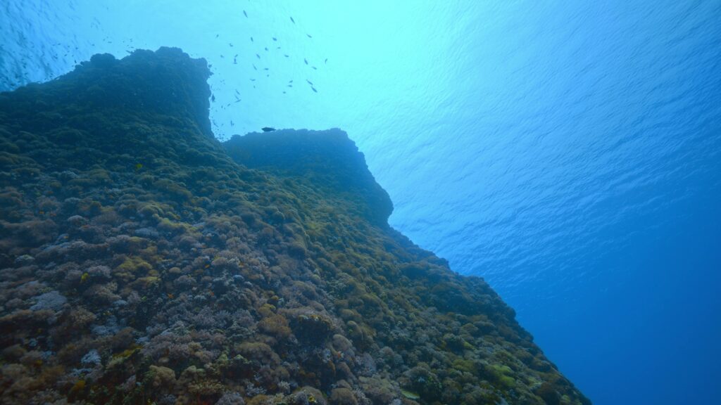 綠島水下視野大突破！東部海岸「湛藍海洋」帶你進入智慧觀光新紀元！ @去旅行新聞網