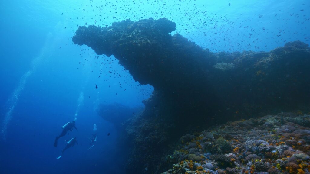 綠島水下視野大突破！東部海岸「湛藍海洋」帶你進入智慧觀光新紀元！ @去旅行新聞網