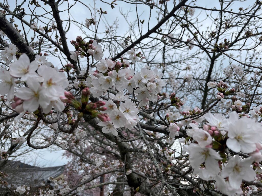 捷絲旅大阪心齋橋館兩週年慶  入住即贈地鐵電車券 低碳環保遊京阪 @去旅行新聞網