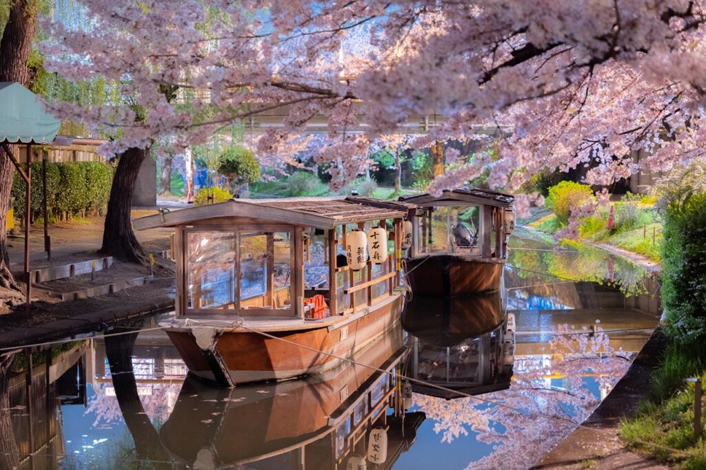 京都春日賞櫻秘境 山科、伏見地區悠閒賞櫻攻略 @去旅行新聞網