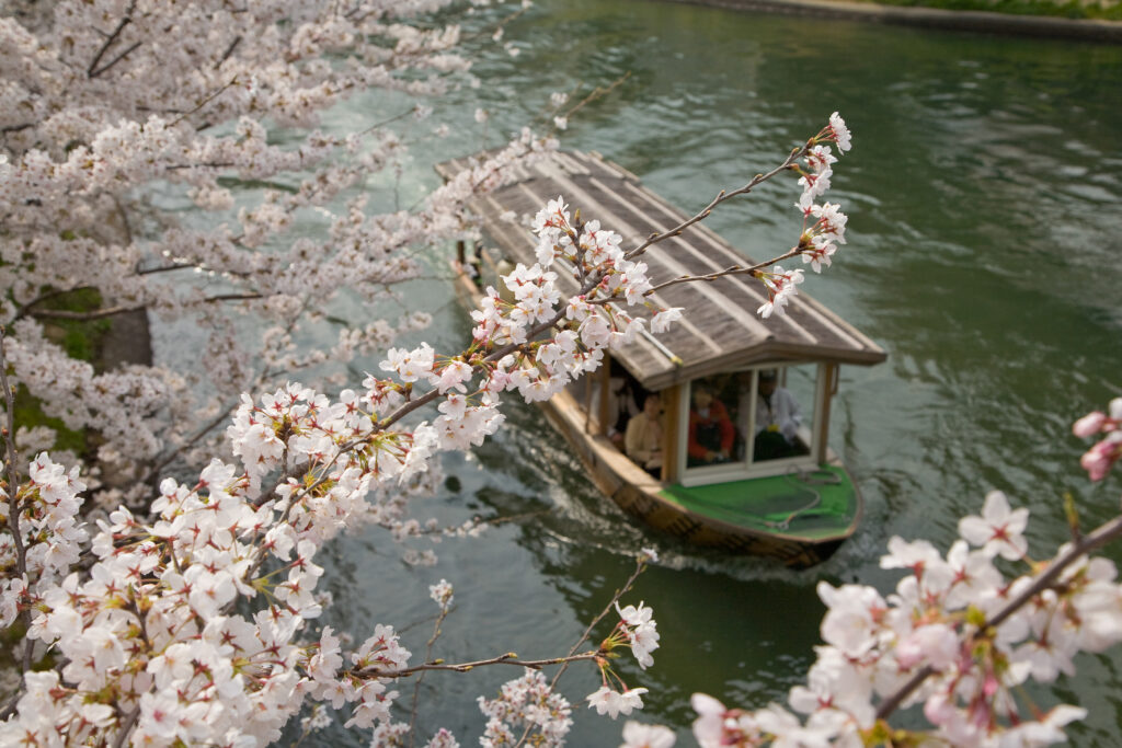 京都春日賞櫻秘境 山科、伏見地區悠閒賞櫻攻略 @去旅行新聞網