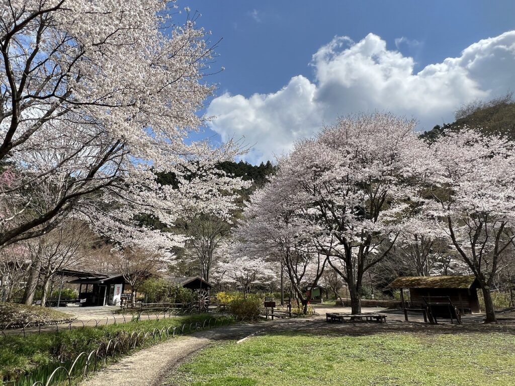 初夏飛日本追夢幻螢火 激推東京三大賞螢勝境 螢光庭園襯托都市雲海、大自然與人情味交織年度螢火蟲祭 暢遊野溪烤肉、日歸溫泉 身心舒暢療癒元素滿載 初夏飛日本追夢幻螢火 激推東京三大賞螢勝境 螢光庭園襯托都市雲海、大自然與人情味交織年度螢火蟲祭 暢遊野溪烤肉、日歸溫泉 身心舒暢療癒元素滿載 @Tournews