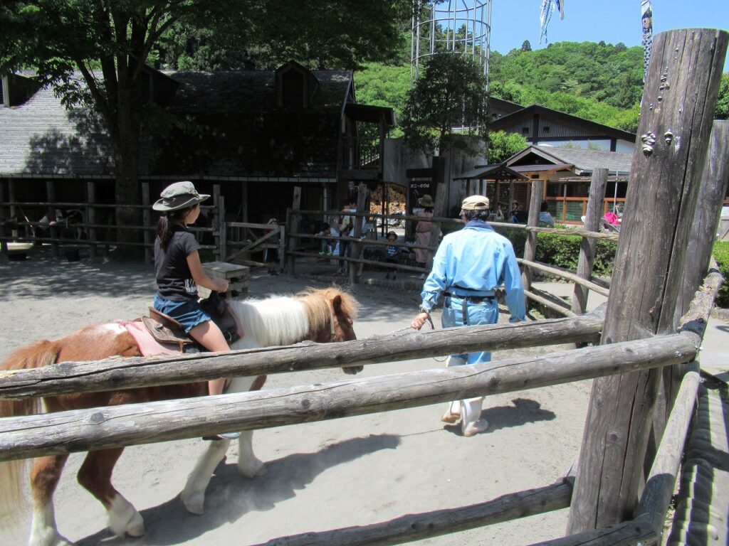 初夏飛日本追夢幻螢火 激推東京三大賞螢勝境 螢光庭園襯托都市雲海、大自然與人情味交織年度螢火蟲祭 暢遊野溪烤肉、日歸溫泉 身心舒暢療癒元素滿載 初夏飛日本追夢幻螢火 激推東京三大賞螢勝境 螢光庭園襯托都市雲海、大自然與人情味交織年度螢火蟲祭 暢遊野溪烤肉、日歸溫泉 身心舒暢療癒元素滿載 @Tournews