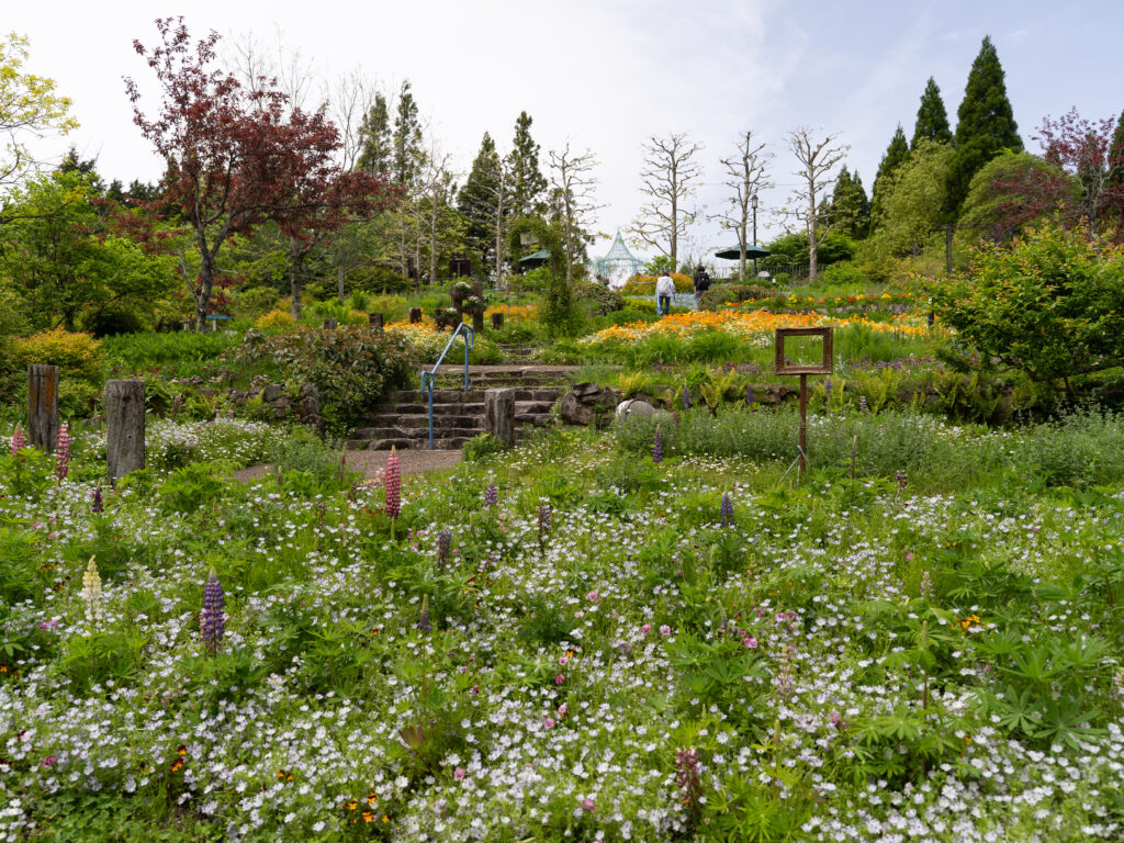 (圖7) Garden Museum比叡擁有廣闊的庭園，充滿歐式風情，彷如走進名畫世界
