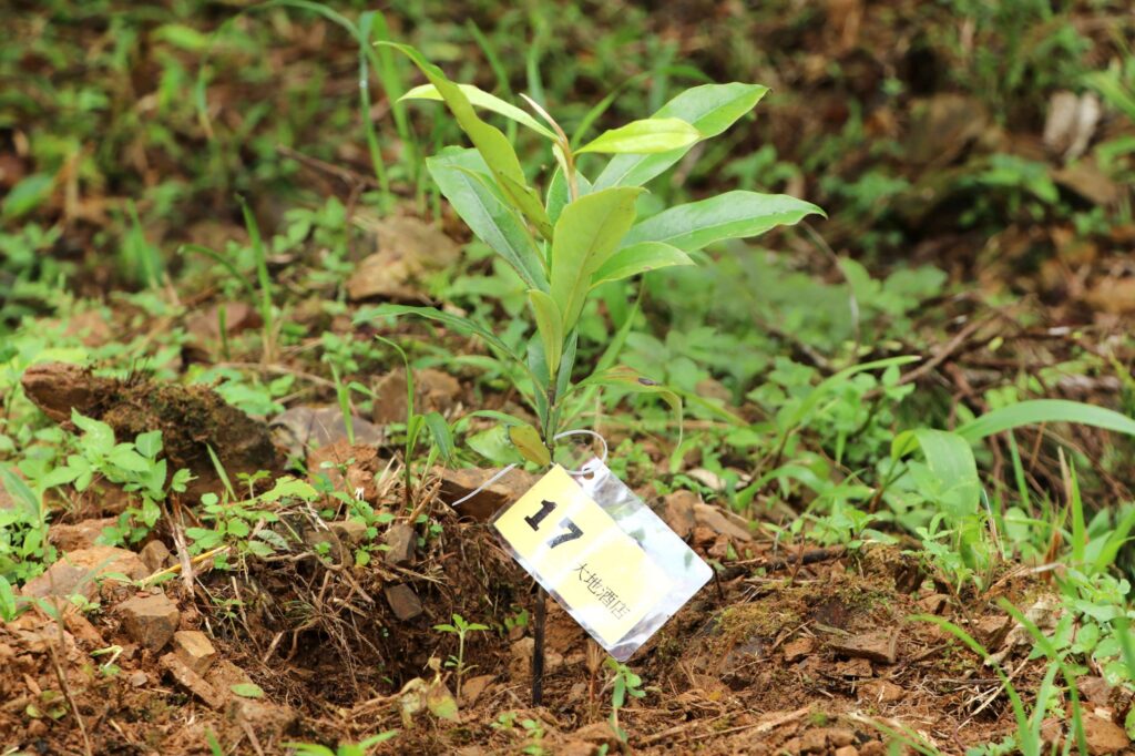 大地酒店攜手綠色冀泉、樂亞旅行社致力永續未來 共襄「萬柿如意.零碳旅遊」活動 大地酒店攜手綠色冀泉、樂亞旅行社致力永續未來 共襄「萬柿如意.零碳旅遊」活動 @去旅行新聞網