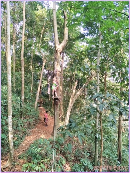 泰國健康旅遊（五）象島永續旅遊指南：泰國綠色示範島嶼的生態探險與海島秘境 @去旅行新聞網