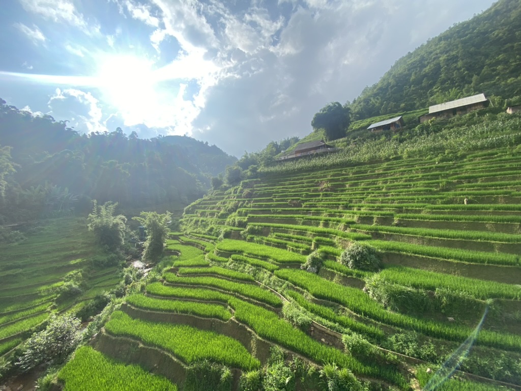 越南旅遊再升溫！越南小瑞士「沙壩」成新寵、下龍灣五星郵輪人氣不減  KKday推小資機加酒19,999元起、輕奢迷你團30,900元起 一次玩遍河內、下龍灣、沙壩 @去旅行新聞網