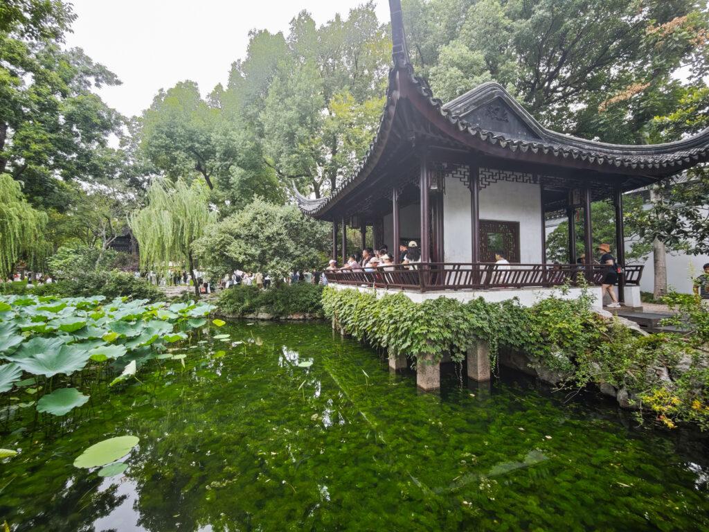 拙政園尋幽：一園看盡江南夢，荷花深處遇蘇州 @去旅行新聞網