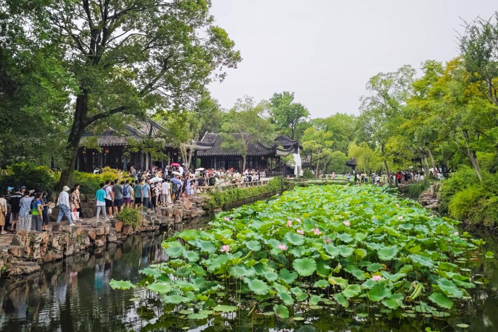 拙政園尋幽：一園看盡江南夢，荷花深處遇蘇州 @去旅行新聞網