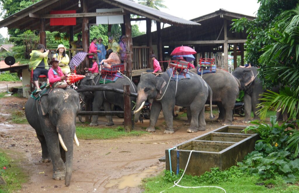 泰國健康旅遊（五）象島永續旅遊指南：泰國綠色示範島嶼的生態探險與海島秘境 @去旅行新聞網