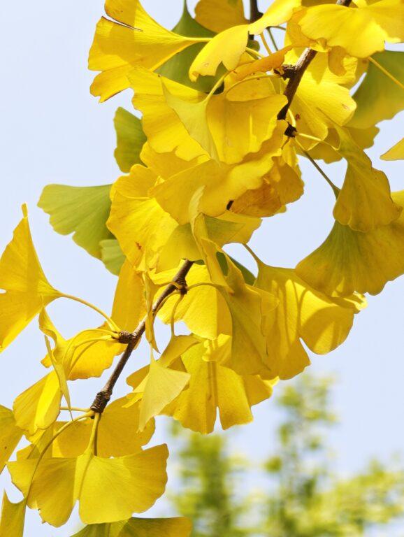 晉祠：太原必訪！探索中國最早皇家祭祀園林與宋代建築奇蹟 @去旅行新聞網