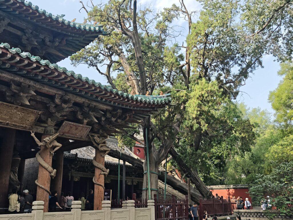 晉祠：太原必訪！探索中國最早皇家祭祀園林與宋代建築奇蹟 @去旅行新聞網