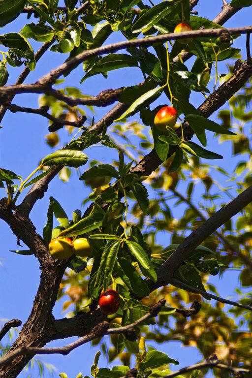 山西秋遊秘境：常家莊園，避開人潮深度體驗晉商儒雅文化！ @去旅行新聞網