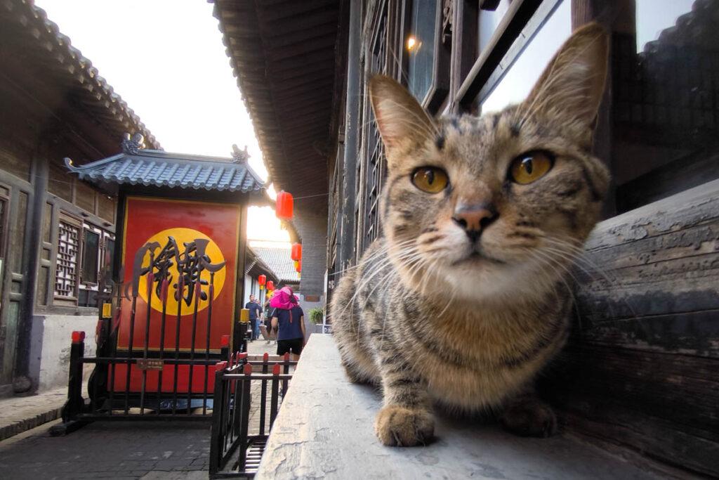 世界文化遺產平遙古城：晉商傳奇的起點，古城之旅必訪！ @去旅行新聞網