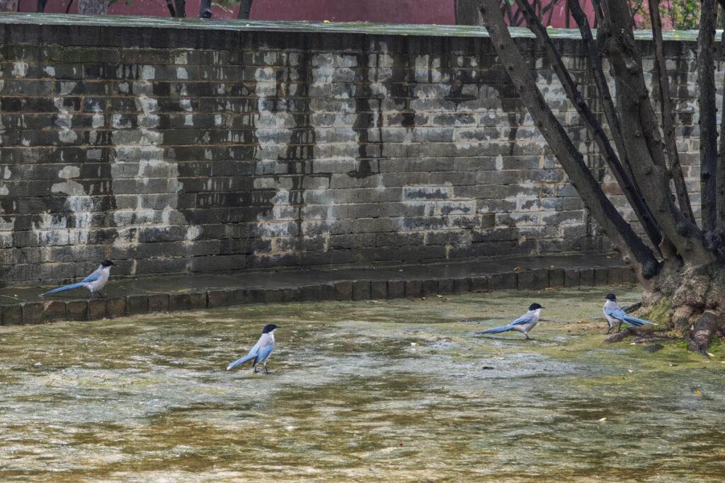山西永樂宮：探訪中國最大、最完整的元代壁畫群！ @去旅行新聞網