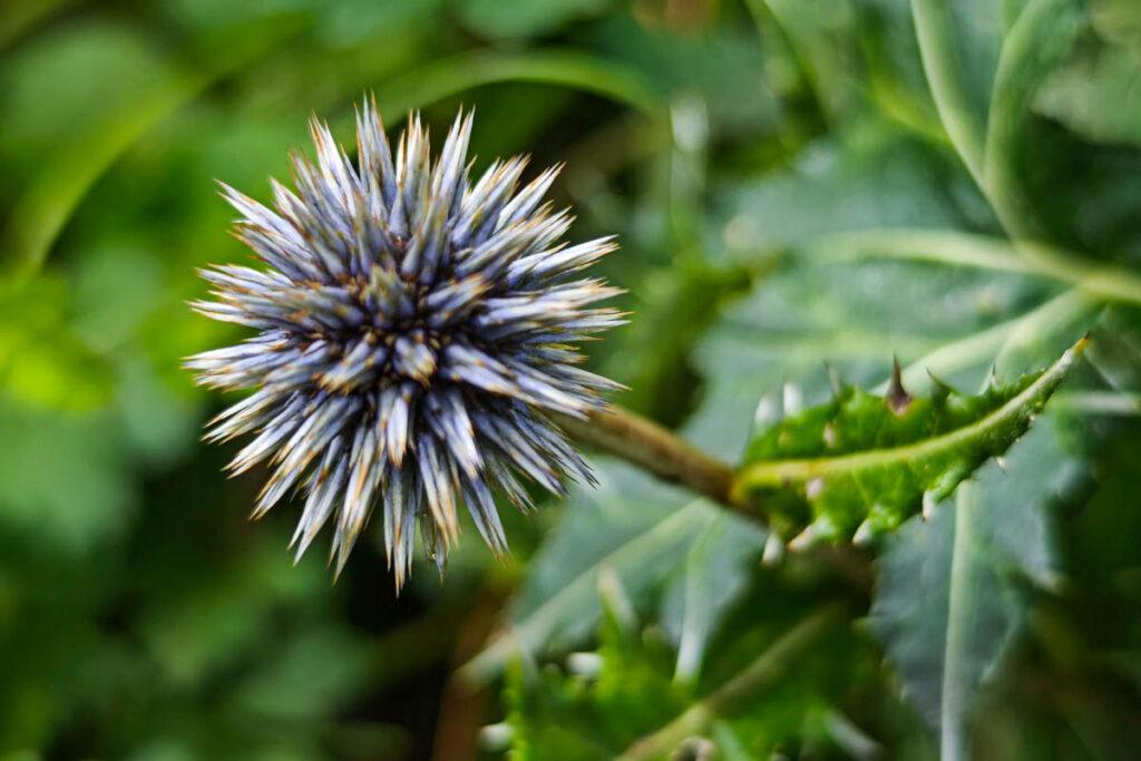 太行山王莽嶺｜走進會呼吸的山水畫中 @去旅行新聞網
