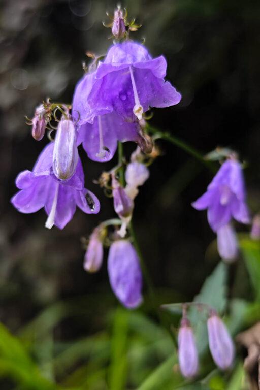 太行山王莽嶺｜走進會呼吸的山水畫中 @去旅行新聞網