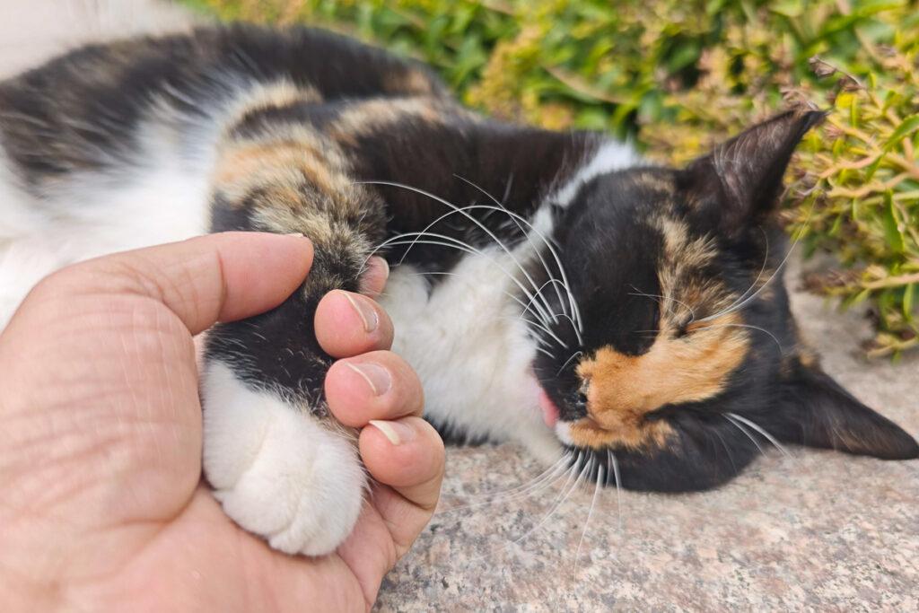 慕田峪長城一日遊攻略：搭纜車、玩滑車，漫步千年古長城！ @去旅行新聞網