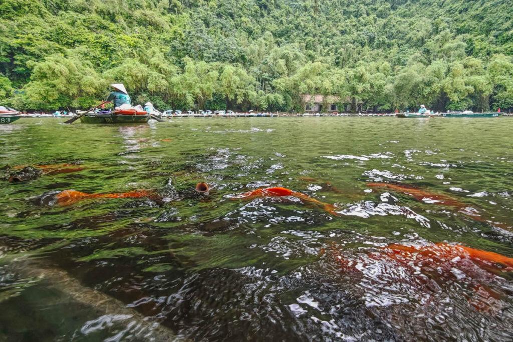 船行碧波上人在畫中遊 探訪陸龍灣世界遺產,穿越石灰岩洞與金剛秘境的奇幻漂流 @去旅行新聞網 船行碧波上人在畫中遊 探訪陸龍灣世界遺產,穿越石灰岩洞與金剛秘境的奇幻漂流 @去旅行新聞網