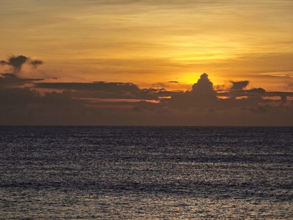 【花蓮日出秘境】花蓮溪海口的第一道光：山海交會、漂流木與候鳥的清晨詩篇 @去旅行新聞網