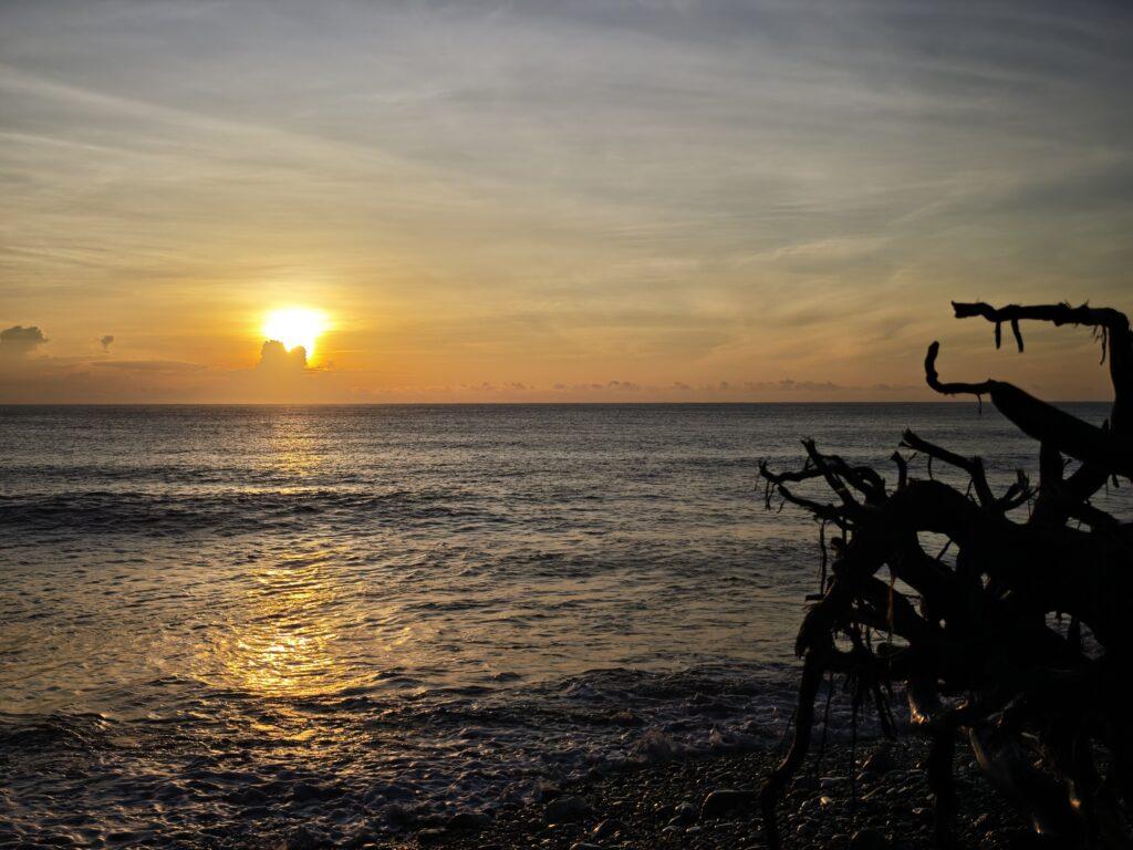 【花蓮日出秘境】花蓮溪海口的第一道光：山海交會、漂流木與候鳥的清晨詩篇 @去旅行新聞網