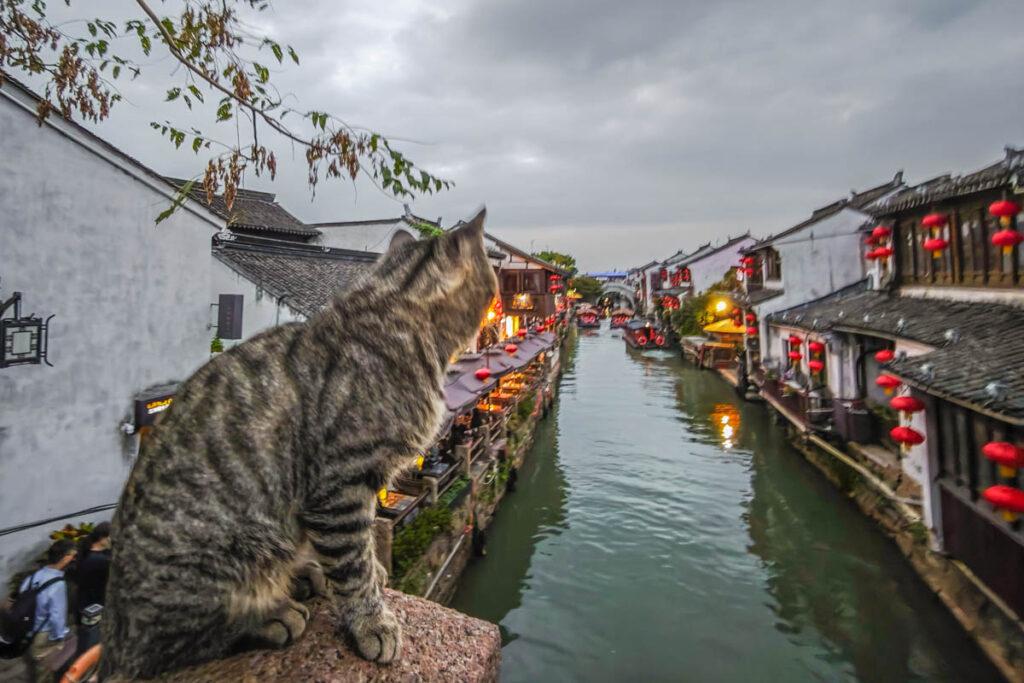 蘇州七里山塘:穿越古韻水巷細品唯美姑蘇萬種風情 @去旅行新聞網 蘇州七里山塘:穿越古韻水巷細品唯美姑蘇萬種風情 @去旅行新聞網