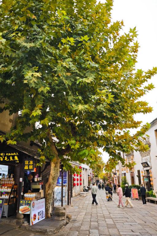 🌿【走進中國最美的畫中村】安徽宏村——在水墨山居間，遇見詩意的江南時光 @去旅行新聞網