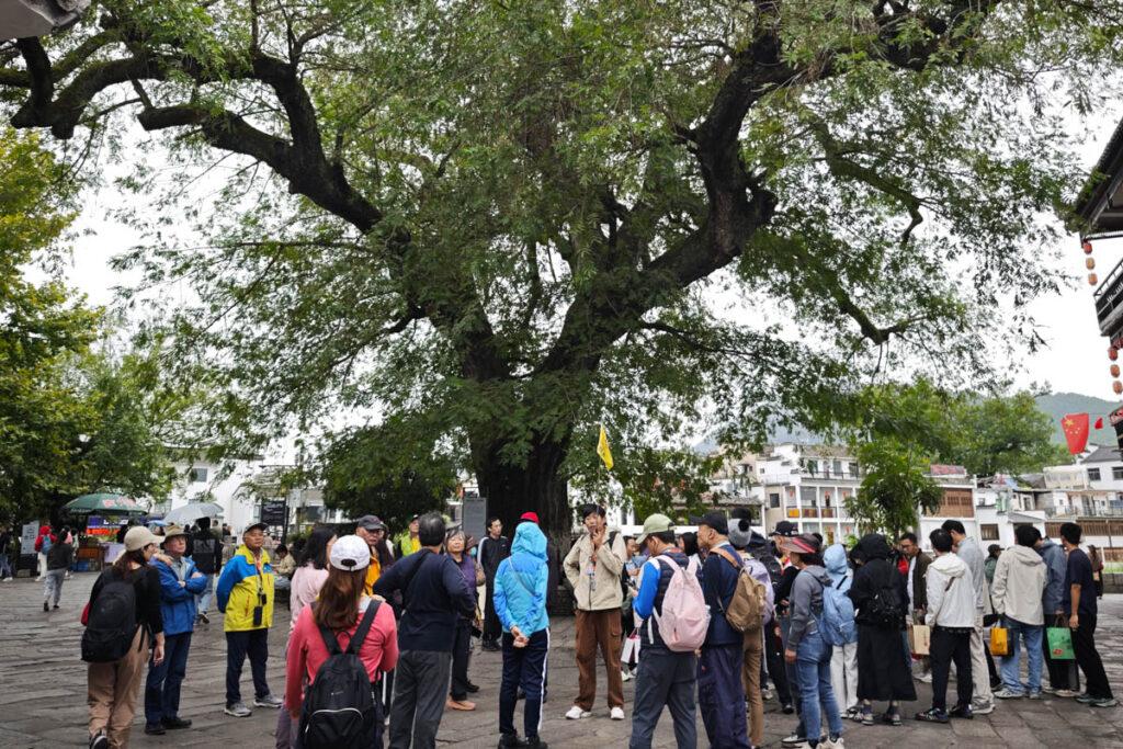 🌿【走進中國最美的畫中村】安徽宏村——在水墨山居間，遇見詩意的江南時光 @去旅行新聞網