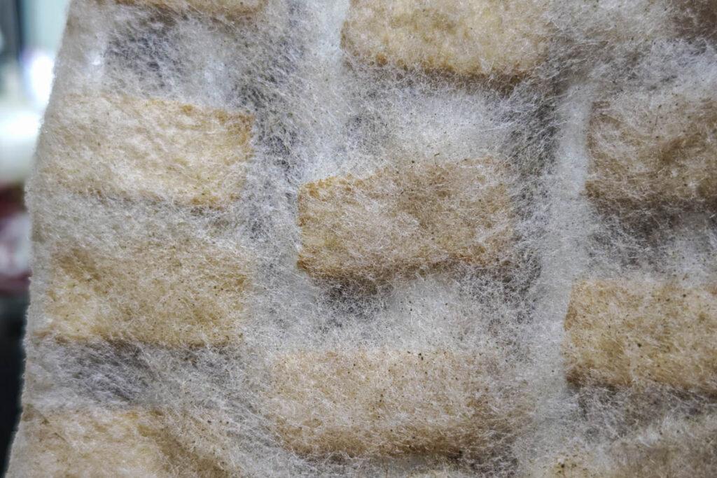 🏮安徽必去!屯溪老街夜遊X新安江畫廊:品味流動清明上河圖的千年徽州風情! @去旅行新聞網 🏮安徽必去!屯溪老街夜遊X新安江畫廊:品味流動清明上河圖的千年徽州風情! @去旅行新聞網