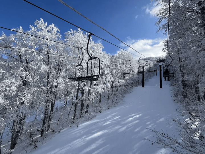 Klook攜手國泰CUBE卡：日本旅遊最高11.3%小樹點回饋，深度玩轉日本超值攻略！ @去旅行新聞網