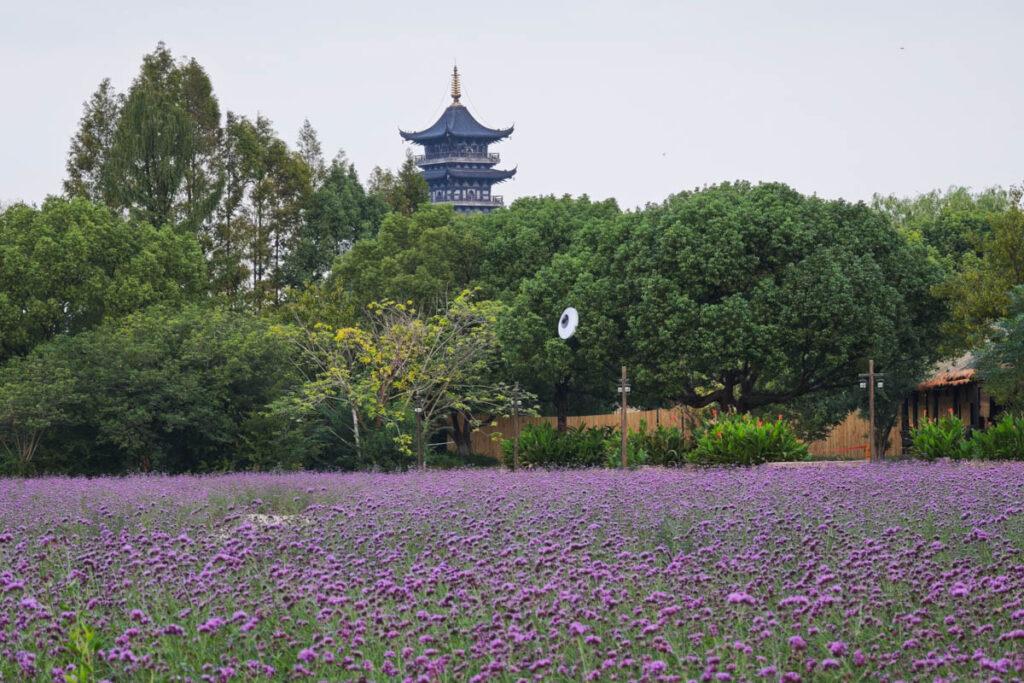 🌙 烏鎮一夜：在靜謐中聆聽江南的呼吸 @去旅行新聞網