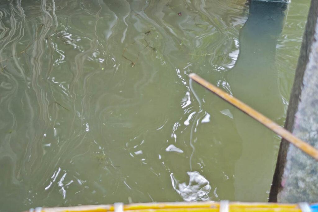 越南會安碗公船一日遊｜水椰子林旋轉船、釣螃蟹，深入甘青村的瘋狂特色體驗 @去旅行新聞網