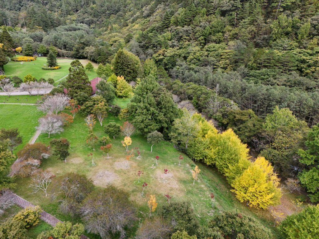 鳳凰颱風來勢洶洶武陵農場11日下午2時起場區暫停對外開放 @去旅行新聞網