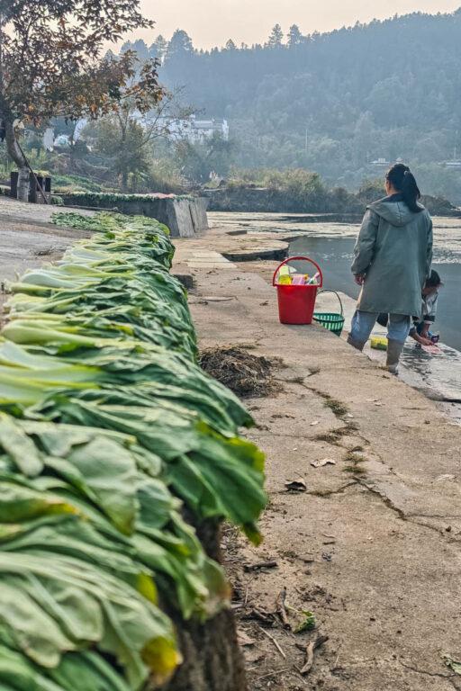 婺源清華彩虹橋:橫跨水上的「時間長廊」,邂逅最詩意古徽州 @去旅行新聞網 婺源清華彩虹橋:橫跨水上的「時間長廊」,邂逅最詩意古徽州 @去旅行新聞網