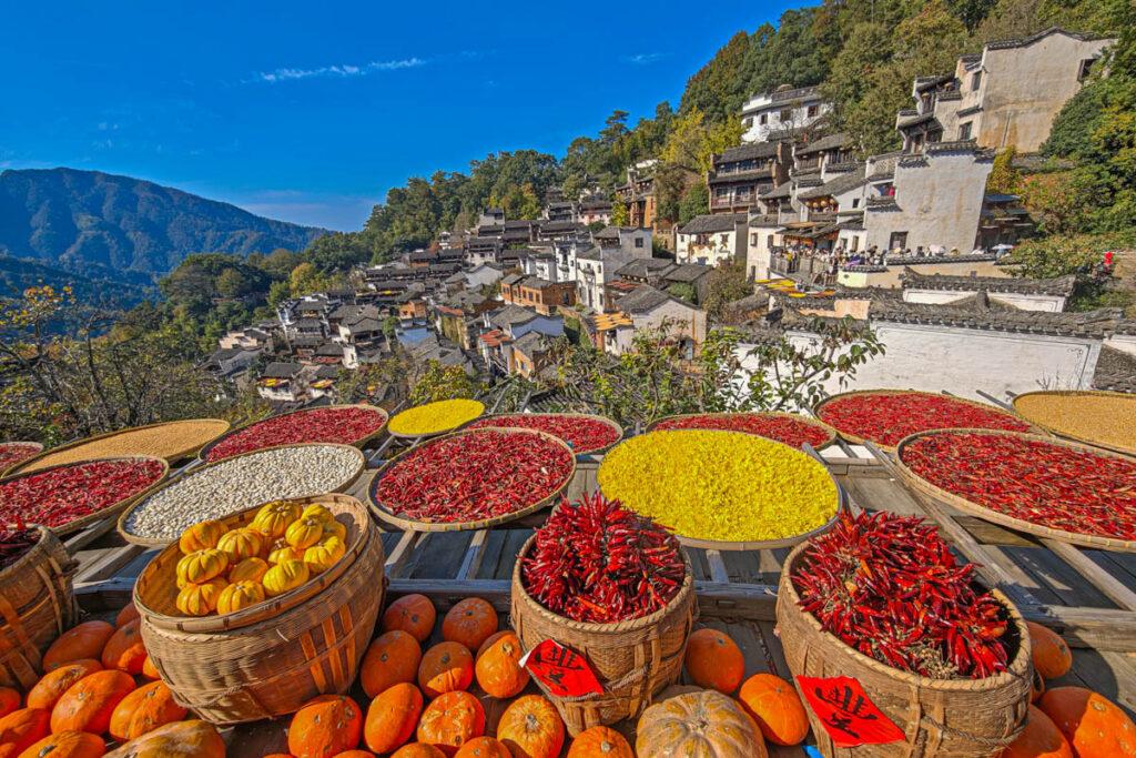 🔥婺源篁嶺:上帝打翻的調色盤!一場古村的詩意小旅行與「曬秋」盛宴 @去旅行新聞網 🔥婺源篁嶺:上帝打翻的調色盤!一場古村的詩意小旅行與「曬秋」盛宴 @去旅行新聞網