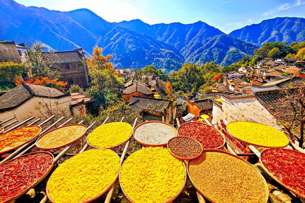 🔥婺源篁嶺:上帝打翻的調色盤!一場古村的詩意小旅行與「曬秋」盛宴 @去旅行新聞網 🔥婺源篁嶺:上帝打翻的調色盤!一場古村的詩意小旅行與「曬秋」盛宴 @去旅行新聞網