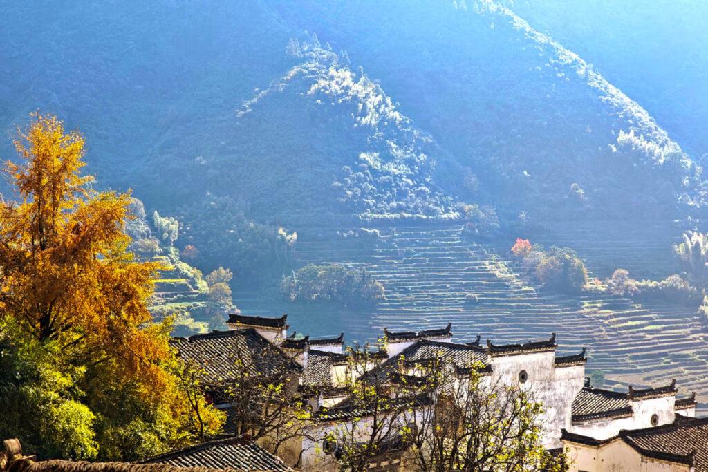 🔥婺源篁嶺:上帝打翻的調色盤!一場古村的詩意小旅行與「曬秋」盛宴 @去旅行新聞網 🔥婺源篁嶺:上帝打翻的調色盤!一場古村的詩意小旅行與「曬秋」盛宴 @去旅行新聞網