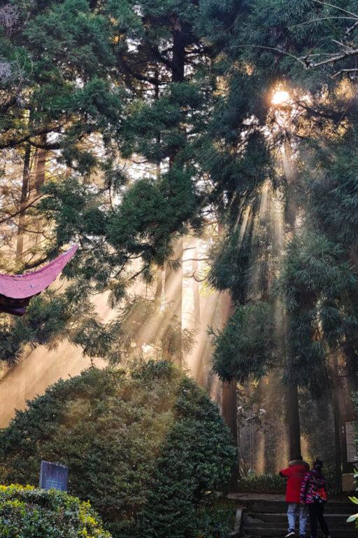 秋遊廬山:跟著詩人腳步,鏡頭捕捉千年詩意與絕美秋景 @去旅行新聞網 秋遊廬山:跟著詩人腳步,鏡頭捕捉千年詩意與絕美秋景 @去旅行新聞網