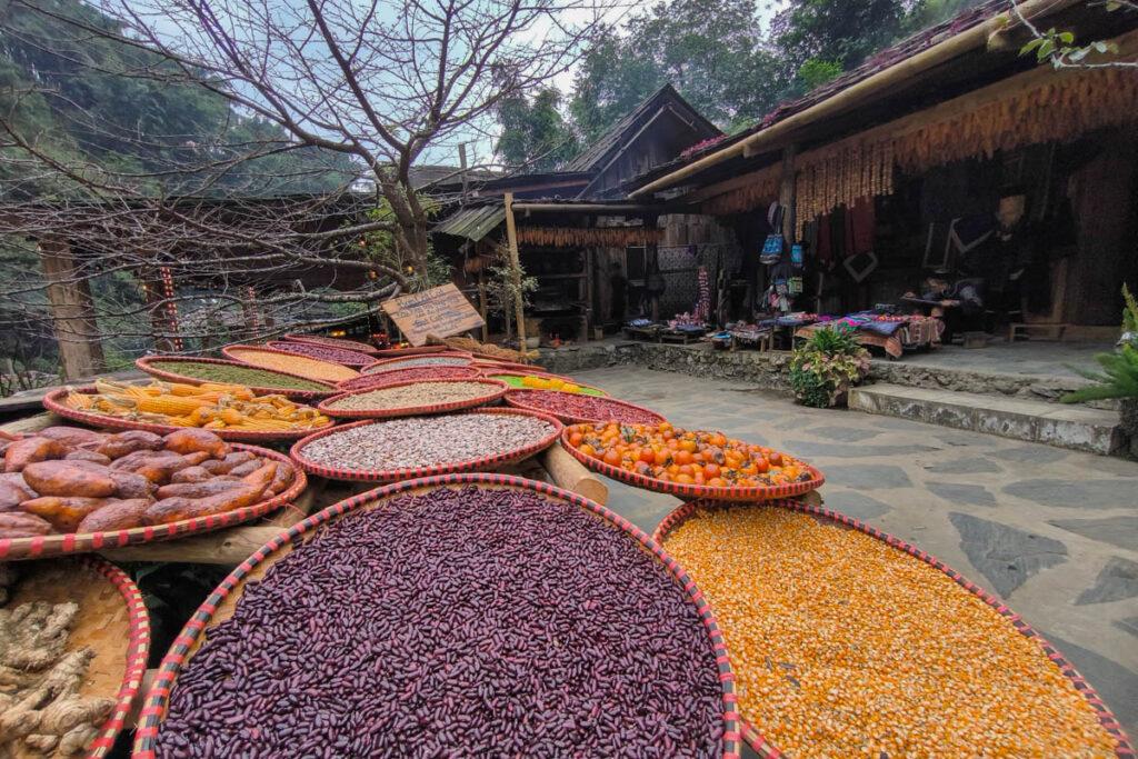越南沙壩【吉吉村 Cat Cat Village】探索赫蒙族秘境，絕美梯田、瀑布與文化體驗全攻略！ @去旅行新聞網