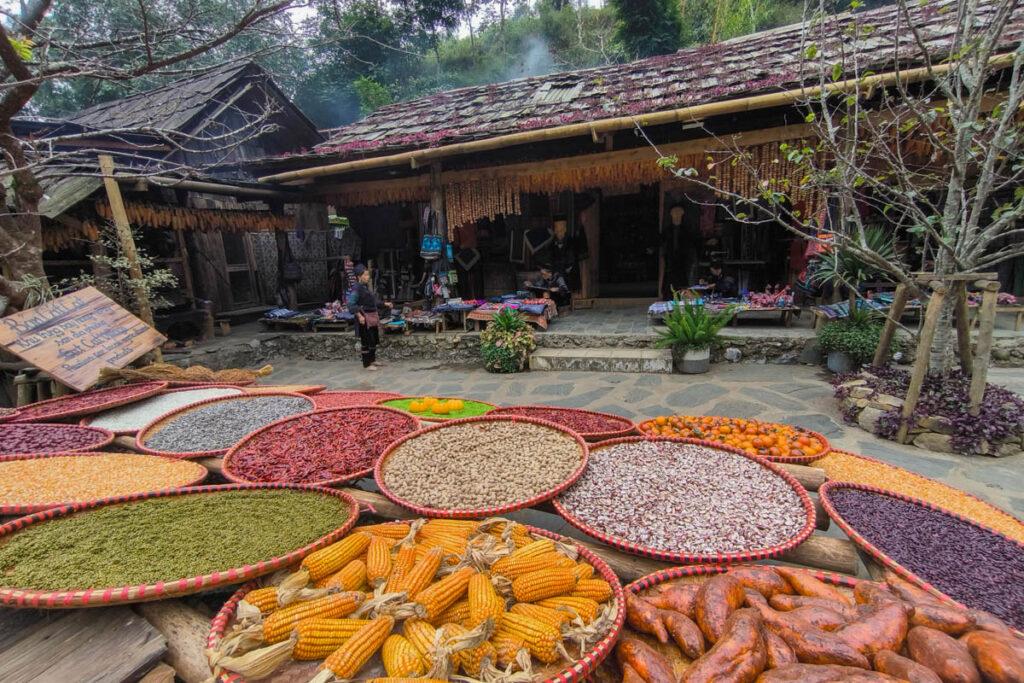 越南沙壩【吉吉村 Cat Cat Village】探索赫蒙族秘境，絕美梯田、瀑布與文化體驗全攻略！ @去旅行新聞網