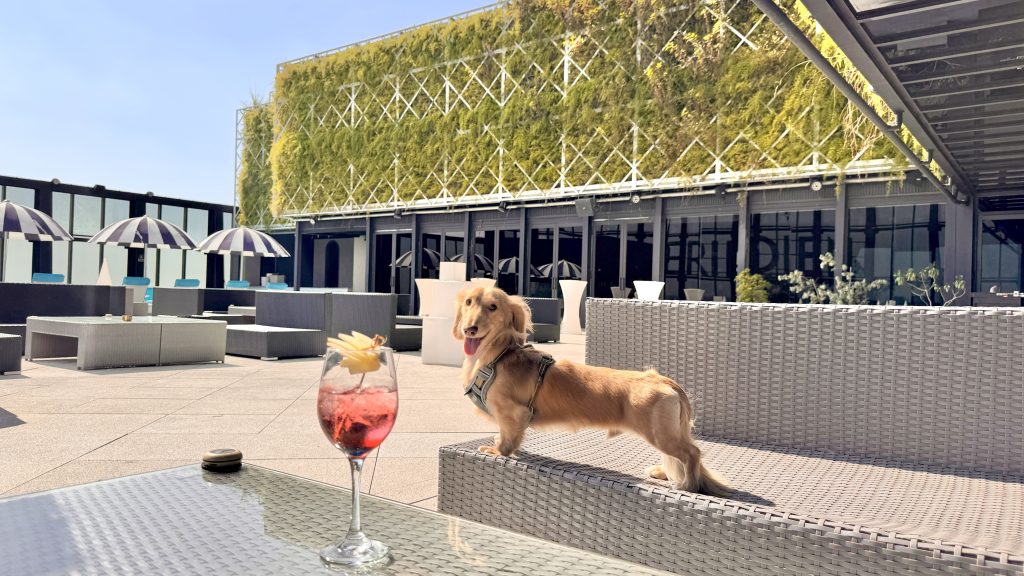 釜山勇奪2025下半年海外人氣新興旅遊城市冠軍！  KKday攜手釜山觀光公社吸客展成果&nbsp;  將持續深化在地特色體驗、打造亞洲新興旅遊樞紐 @去旅行新聞網