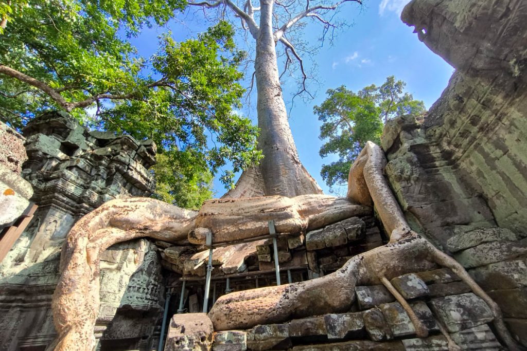 塔普倫寺深度攻略|吳哥窟巨木盤根的千年古寺:探秘《古墓奇兵》取景地、回音塔與隱藏雕刻 @去旅行新聞網 塔普倫寺深度攻略|吳哥窟巨木盤根的千年古寺:探秘《古墓奇兵》取景地、回音塔與隱藏雕刻 @去旅行新聞網