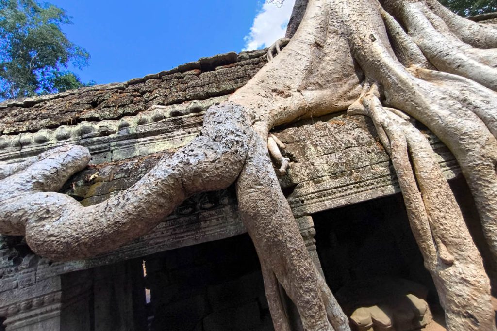 塔普倫寺深度攻略|吳哥窟巨木盤根的千年古寺:探秘《古墓奇兵》取景地、回音塔與隱藏雕刻 @去旅行新聞網 塔普倫寺深度攻略|吳哥窟巨木盤根的千年古寺:探秘《古墓奇兵》取景地、回音塔與隱藏雕刻 @去旅行新聞網