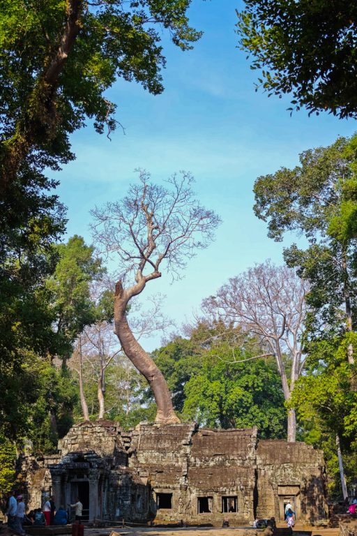 塔普倫寺深度攻略|吳哥窟巨木盤根的千年古寺:探秘《古墓奇兵》取景地、回音塔與隱藏雕刻 @去旅行新聞網 塔普倫寺深度攻略|吳哥窟巨木盤根的千年古寺:探秘《古墓奇兵》取景地、回音塔與隱藏雕刻 @去旅行新聞網