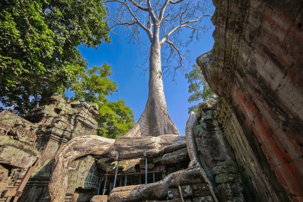 2024京都景點懶人包》  京都自由行交通、京都美食、文化遺產、寺院景點20+ @去旅行新聞網
