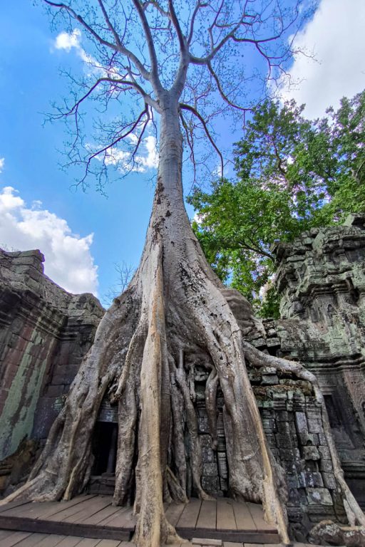 塔普倫寺深度攻略|吳哥窟巨木盤根的千年古寺:探秘《古墓奇兵》取景地、回音塔與隱藏雕刻 @去旅行新聞網 塔普倫寺深度攻略|吳哥窟巨木盤根的千年古寺:探秘《古墓奇兵》取景地、回音塔與隱藏雕刻 @去旅行新聞網