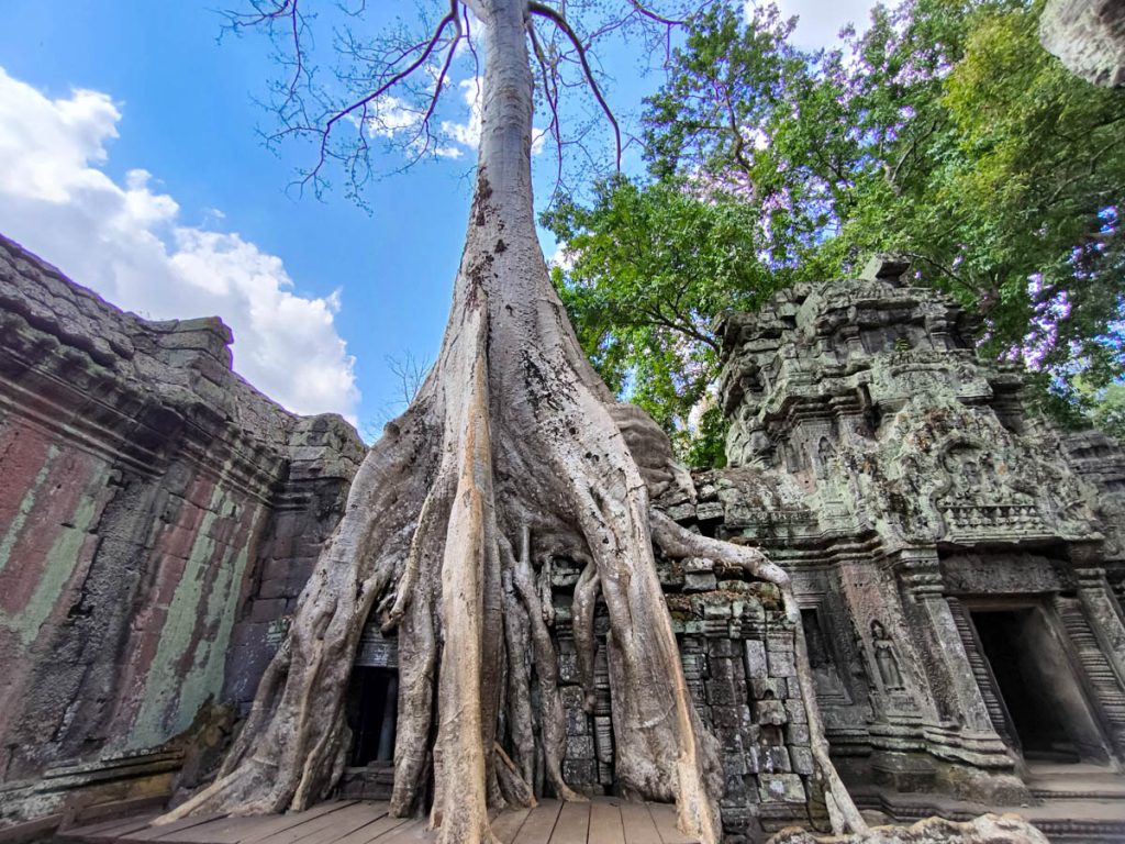 塔普倫寺深度攻略|吳哥窟巨木盤根的千年古寺:探秘《古墓奇兵》取景地、回音塔與隱藏雕刻 @去旅行新聞網 塔普倫寺深度攻略|吳哥窟巨木盤根的千年古寺:探秘《古墓奇兵》取景地、回音塔與隱藏雕刻 @去旅行新聞網