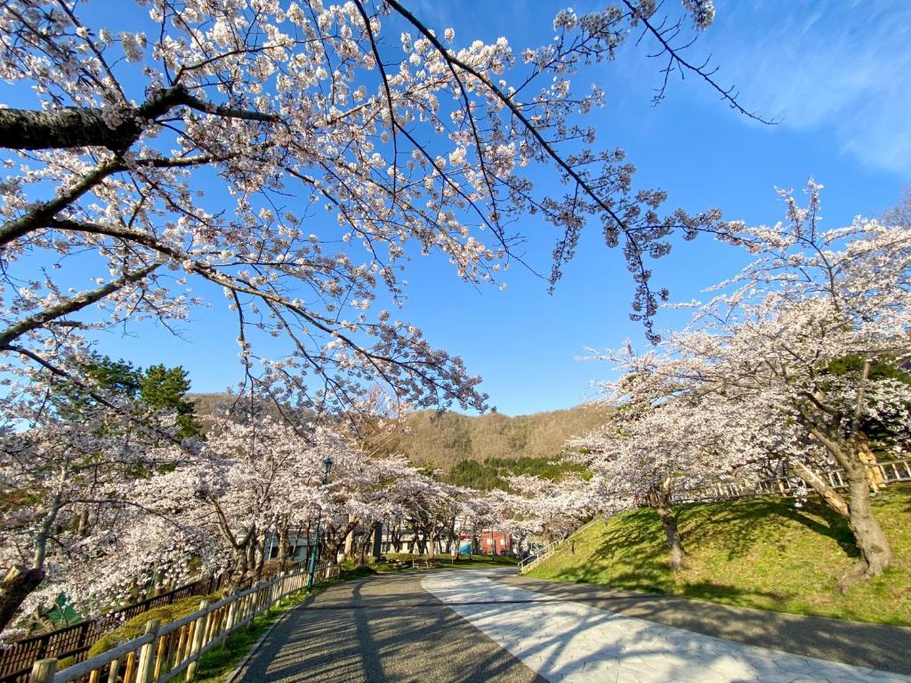 韓國首爾弘大住宿飯店，交通、CP 值、高人氣推薦10家 @去旅行新聞網